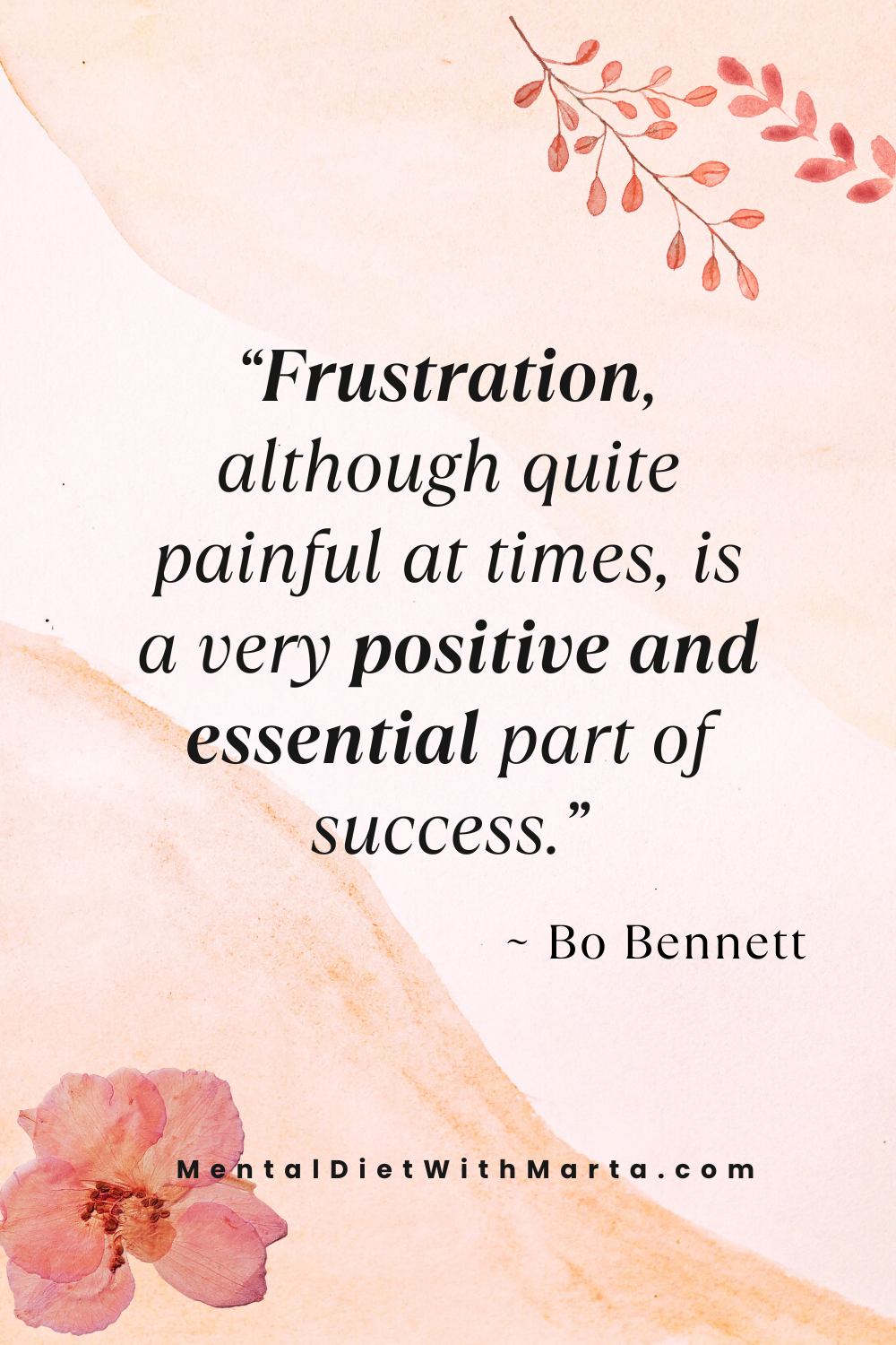 How to Stay Motivated While Manifesting and Avoid Burnout Bo Bennet about frustration