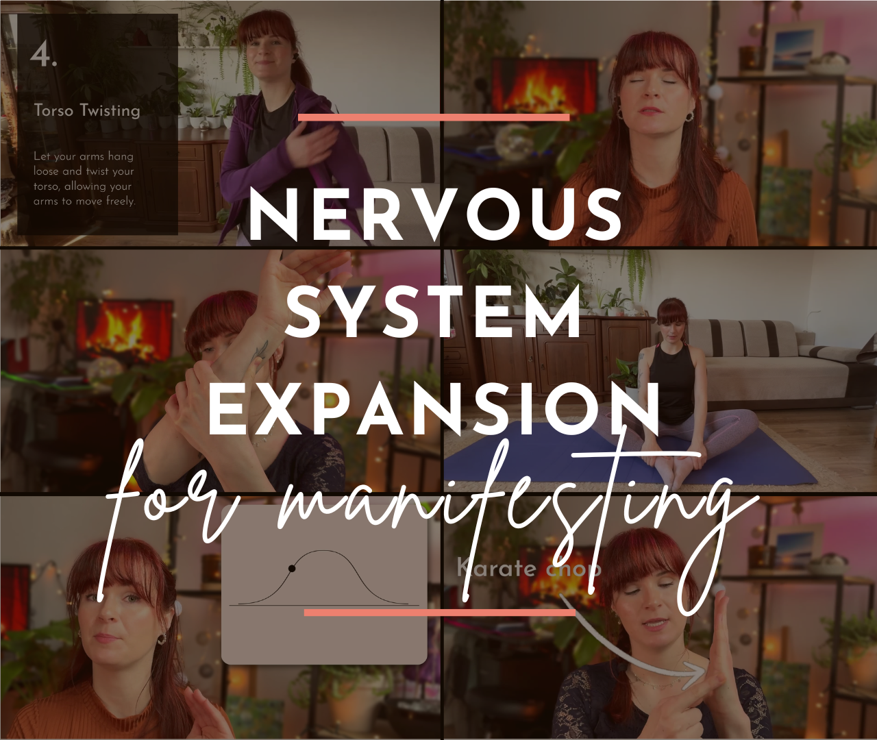 Nervous System Intensive for Manifesting Stop Repelling Your Desires Mental Diet with Marta
