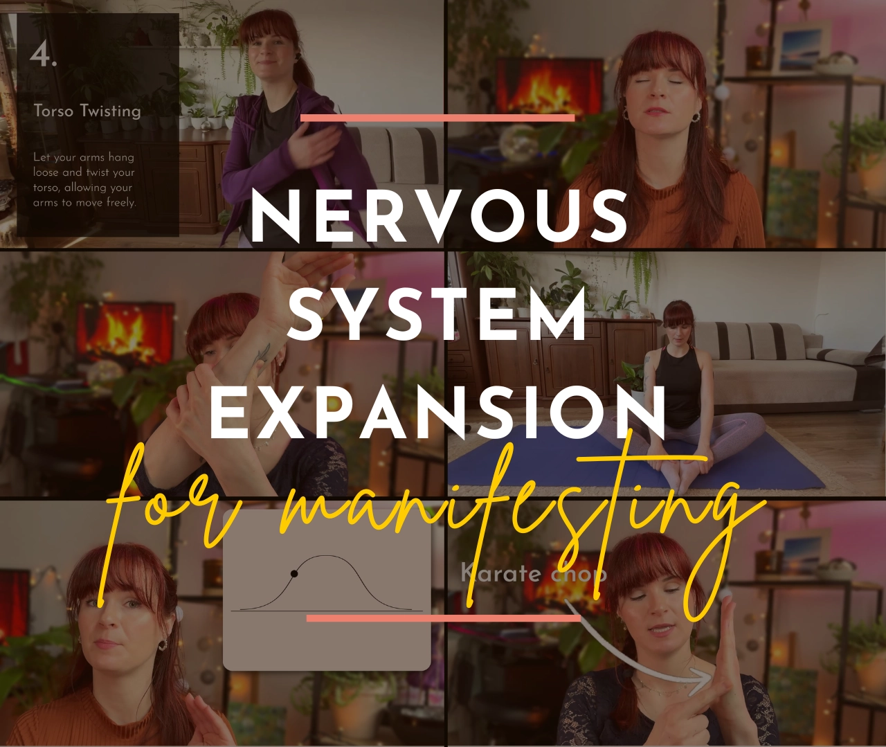 Nervous System Intensive for Manifesting Stop Repelling Your Desires Mental Diet with Marta