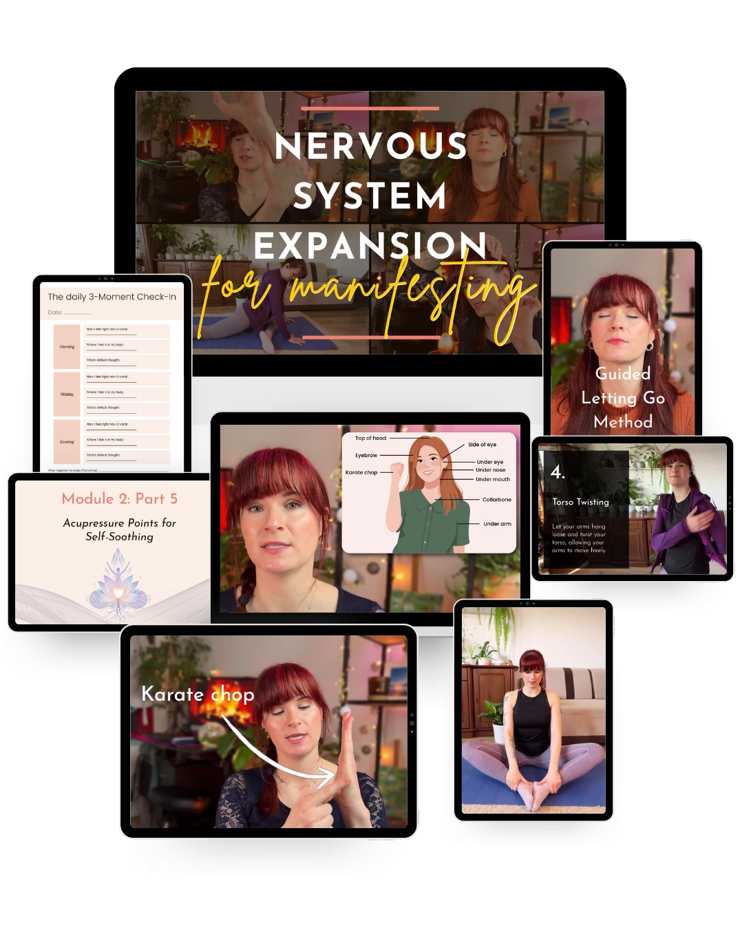 Nervous System Intensive for Manifesting Stop Repelling Your Desires Mental Diet with Marta