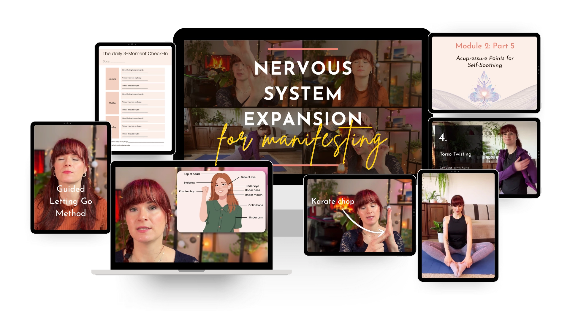 Nervous System Intensive for Manifesting Stop Repelling Your Desires Mental Diet with Marta